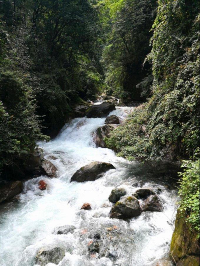 十五岁可以参团旅游吗游戏画面